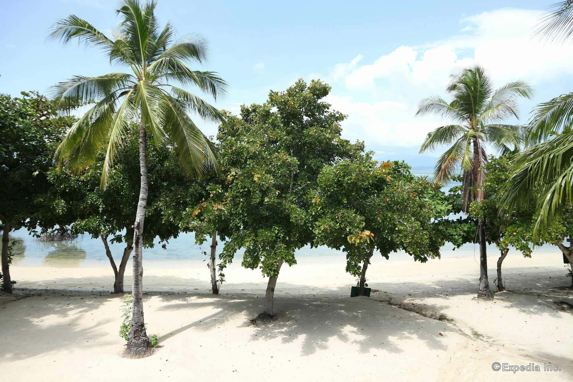 Dos Palmas Island Resort & Spa Puerto Princesa Ngoại thất bức ảnh